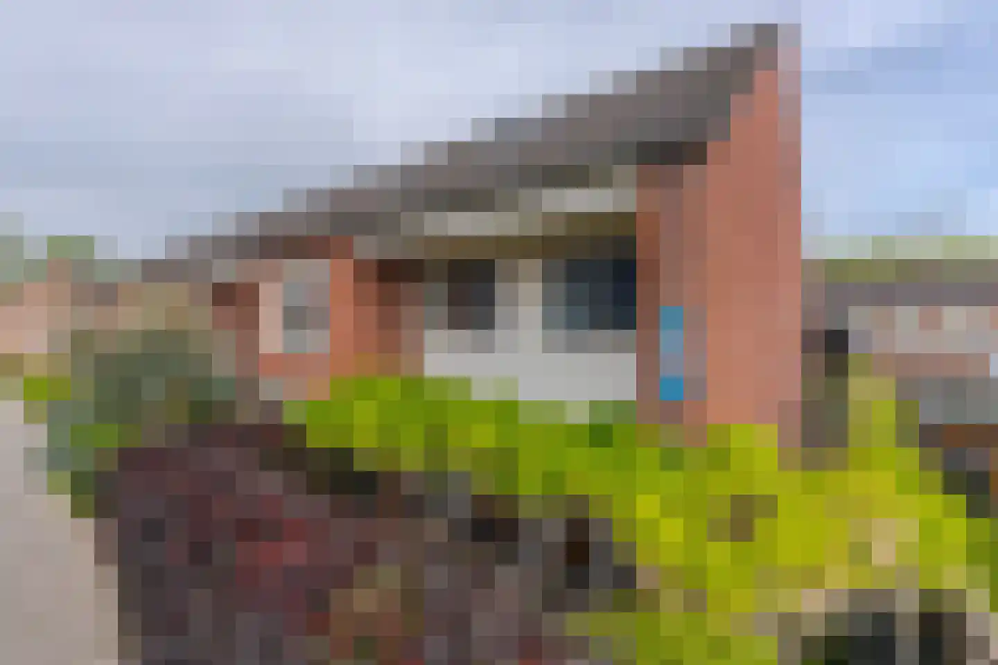 Amalia van Solmsstraat 10 Elst thumbnail 5