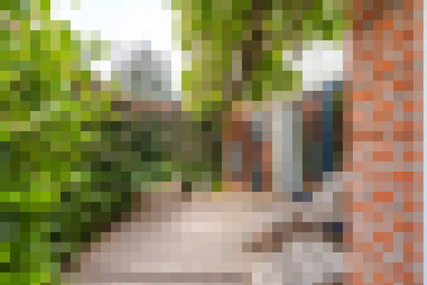 Amalia van Solmsstraat 10 Elst thumbnail 7