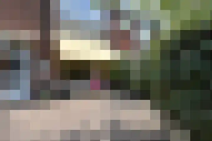 Amalia van Solmsstraat 110 Den Haag thumbnail 6