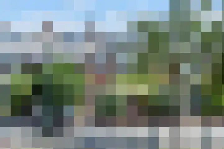 Amalia van Solmsstraat 110 Den Haag thumbnail 67
