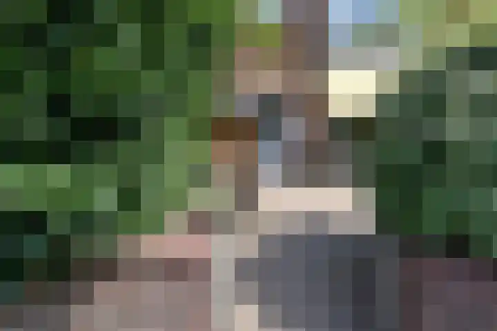 Amalia van Solmsstraat 110 Den Haag thumbnail 69
