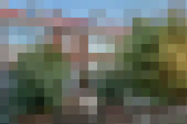 Amalia van Solmsstraat 122 Den Haag thumbnail 6