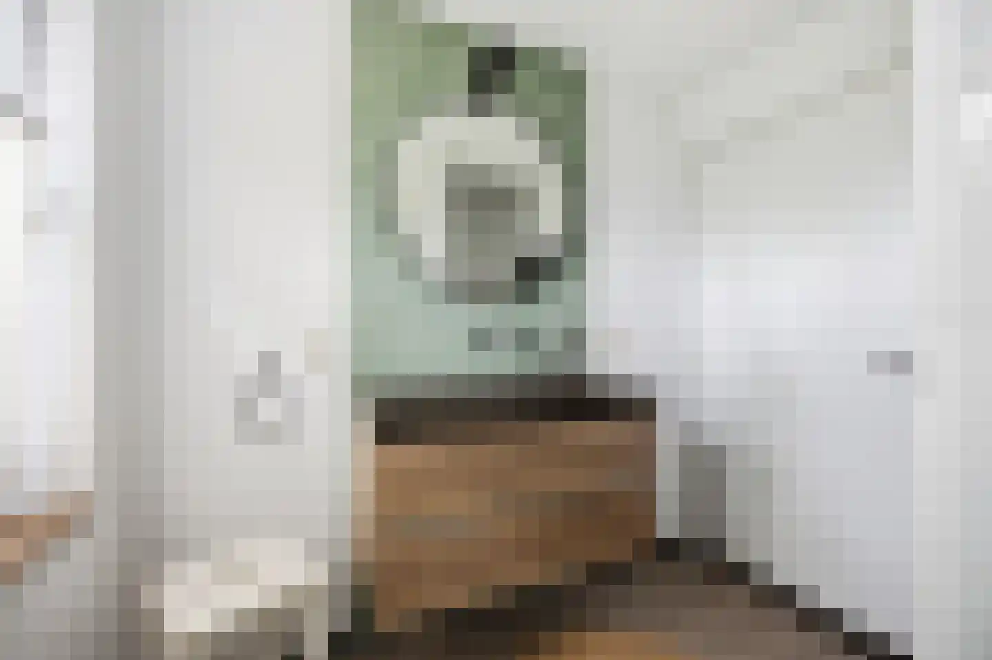 Amalia van Solmsstraat 13 A Drimmelen thumbnail 21