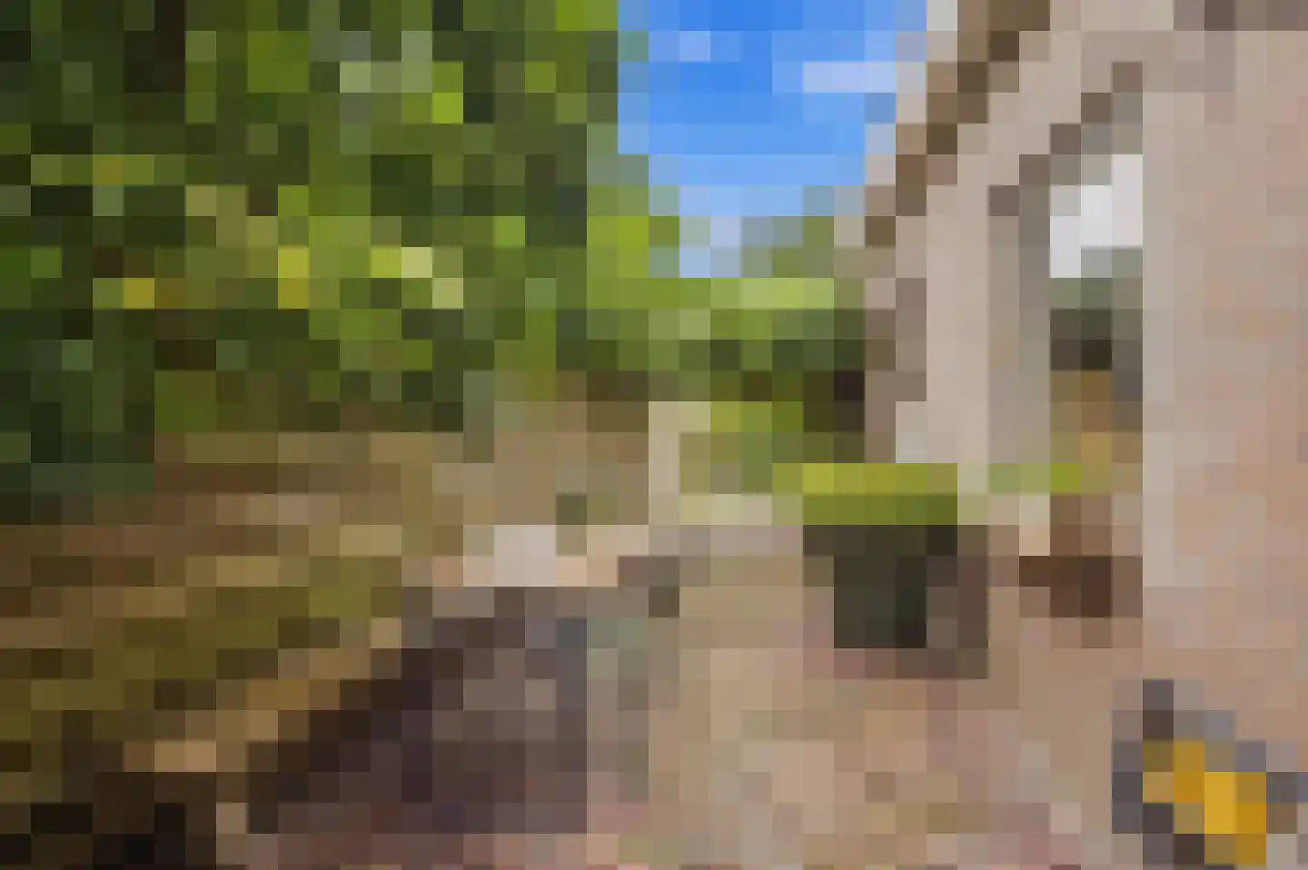 Amalia van Solmsstraat 13 A Drimmelen thumbnail 31