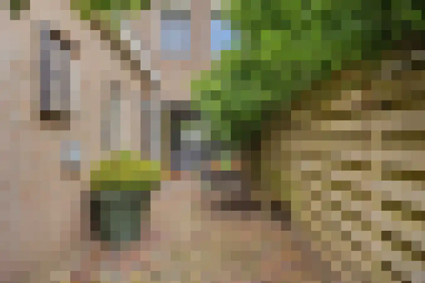 Amalia van Solmsstraat 13 A Drimmelen thumbnail 32