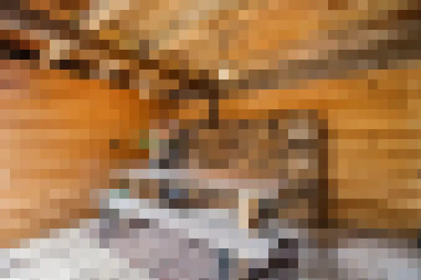 Amalia van Solmsstraat 13 A Drimmelen thumbnail 37