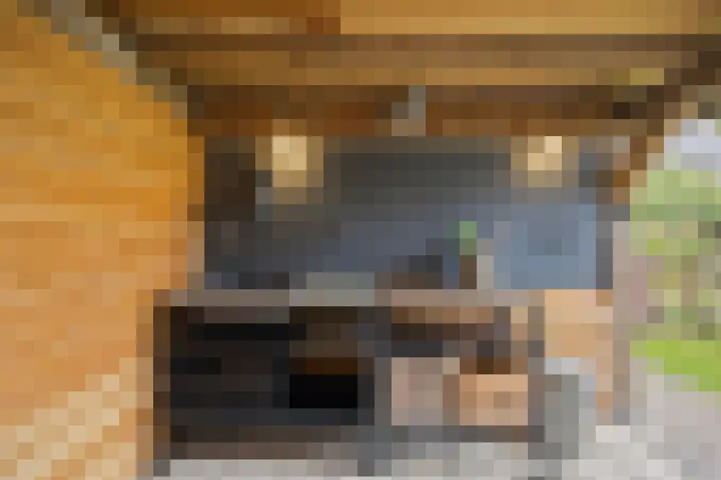 Amalia van Solmsstraat 13 A Drimmelen thumbnail 38
