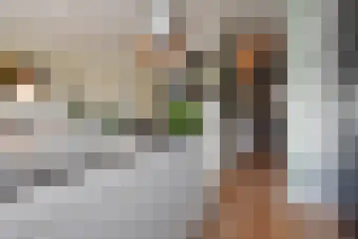 Amalia van Solmsstraat 142 A Den Haag thumbnail 21
