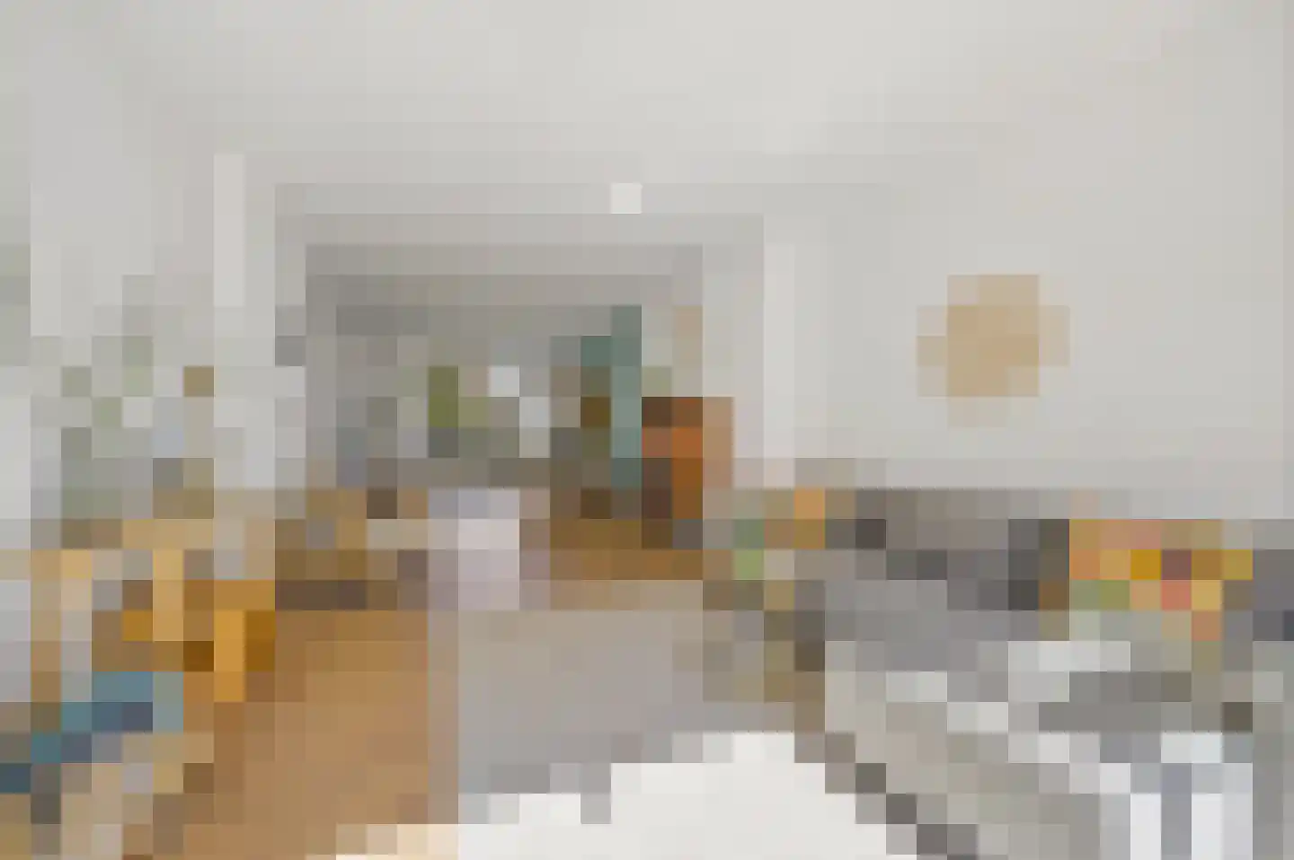 Amalia van Solmsstraat 146 A Den Haag thumbnail 6