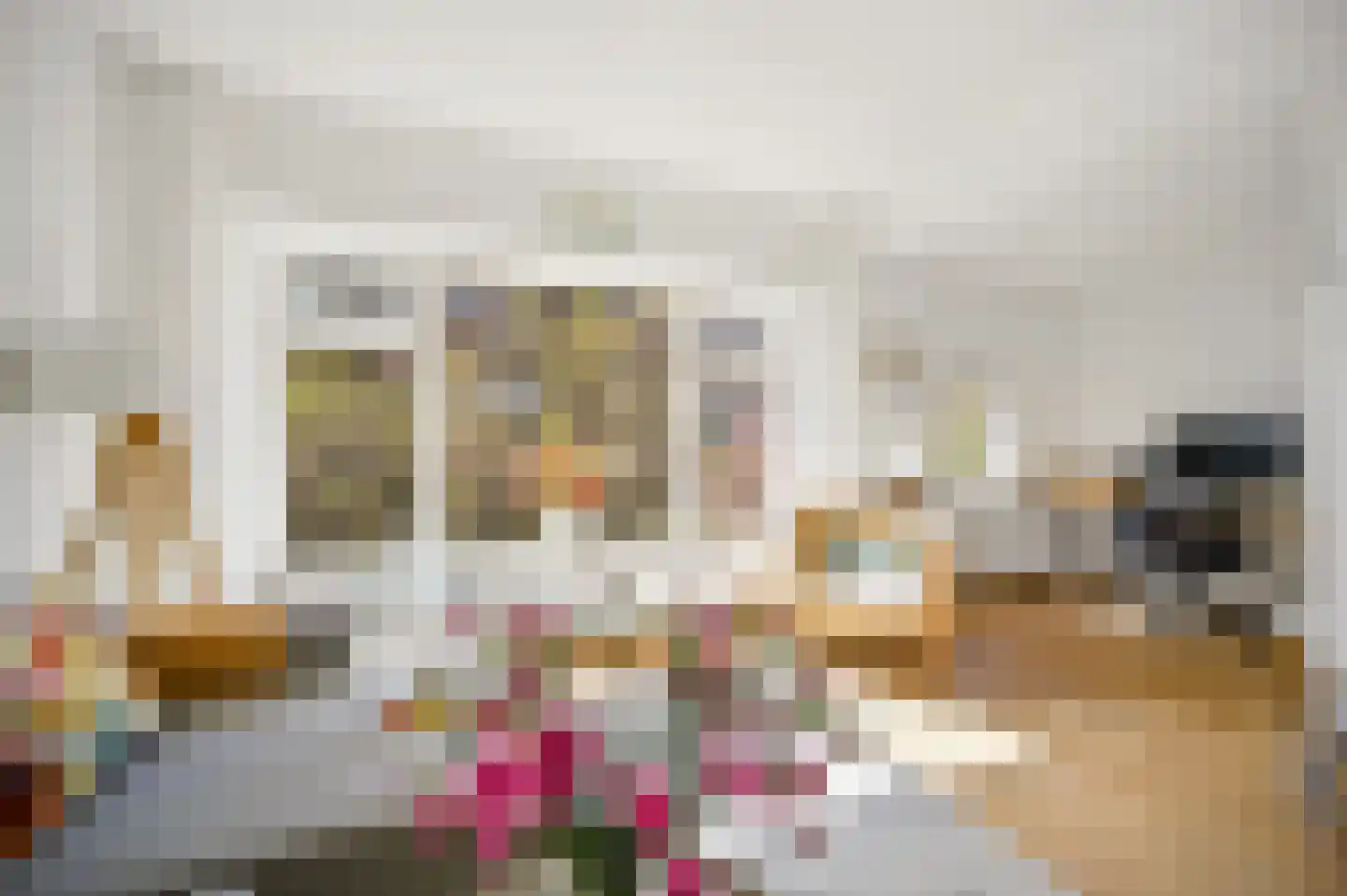 Amalia van Solmsstraat 146 A Den Haag thumbnail 7