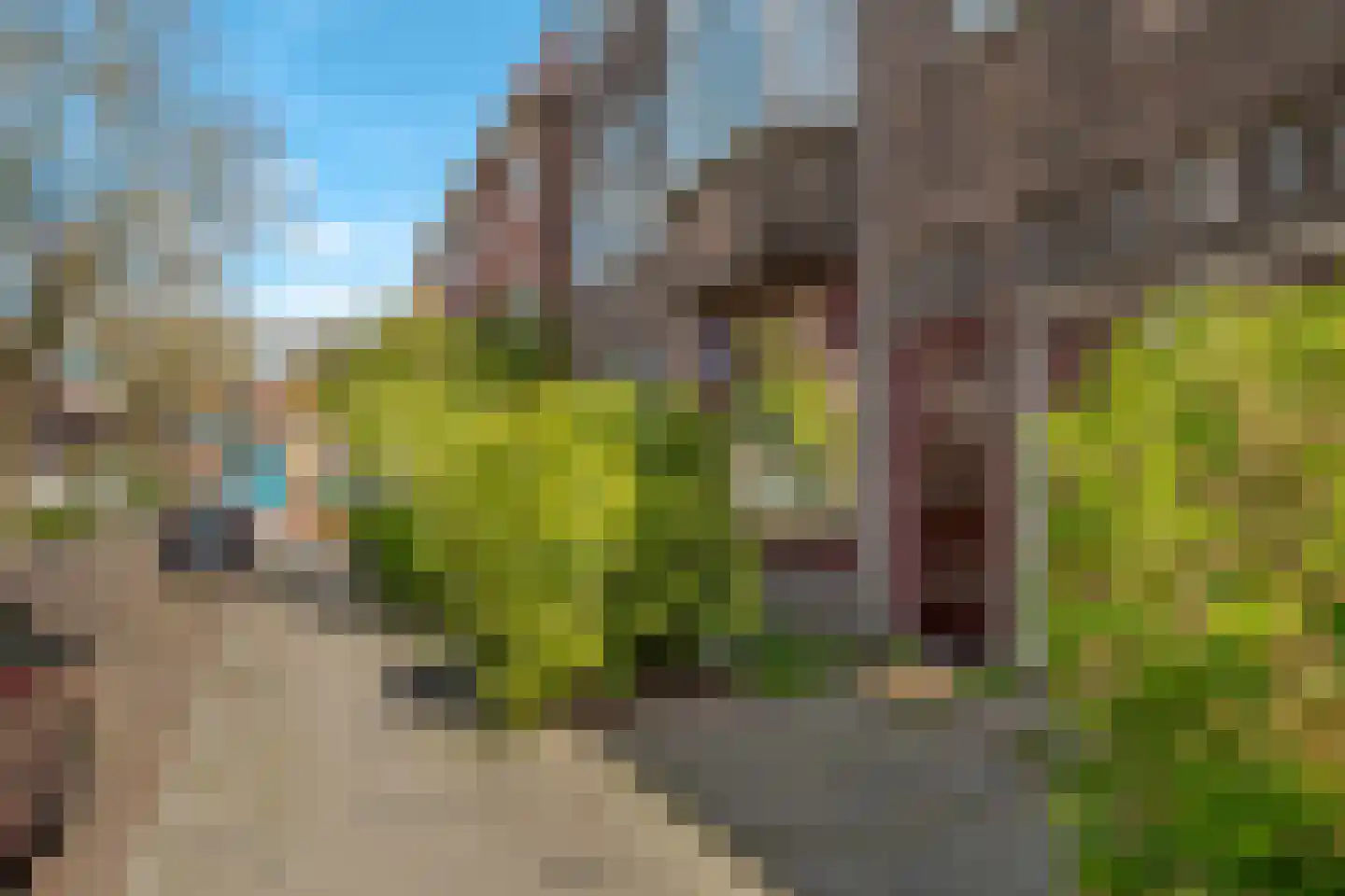 Amalia van Solmsstraat 15 Groningen thumbnail 11