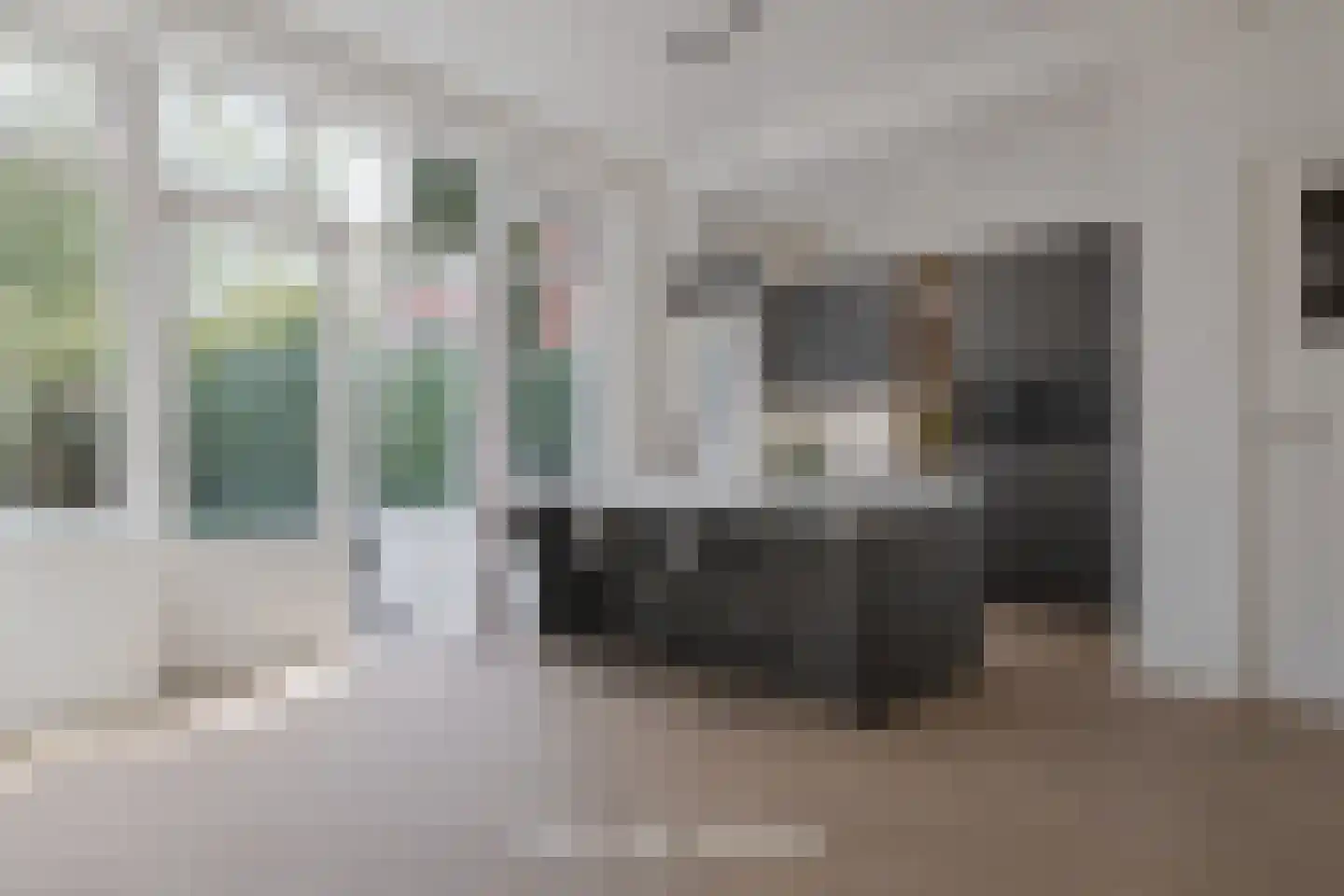 Amalia van Solmsstraat 15 Groningen thumbnail 17
