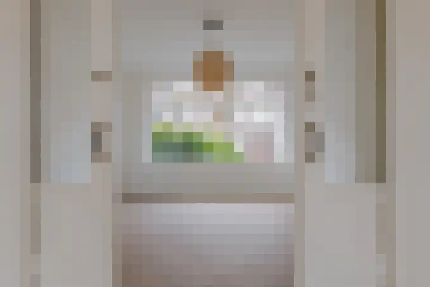 Amalia van Solmsstraat 15 Groningen thumbnail 22