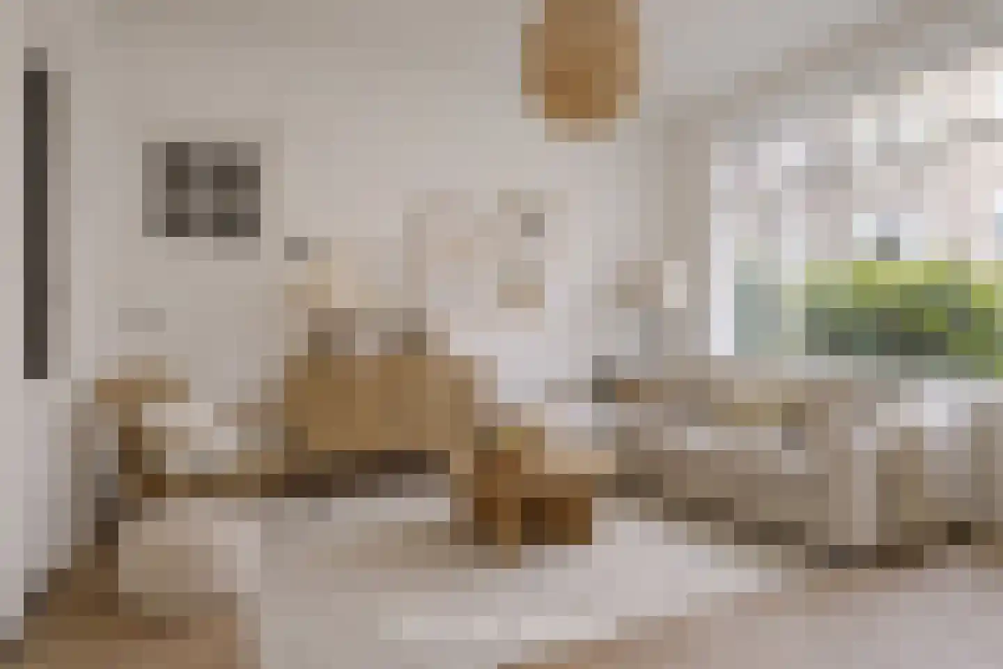 Amalia van Solmsstraat 15 Groningen thumbnail 23