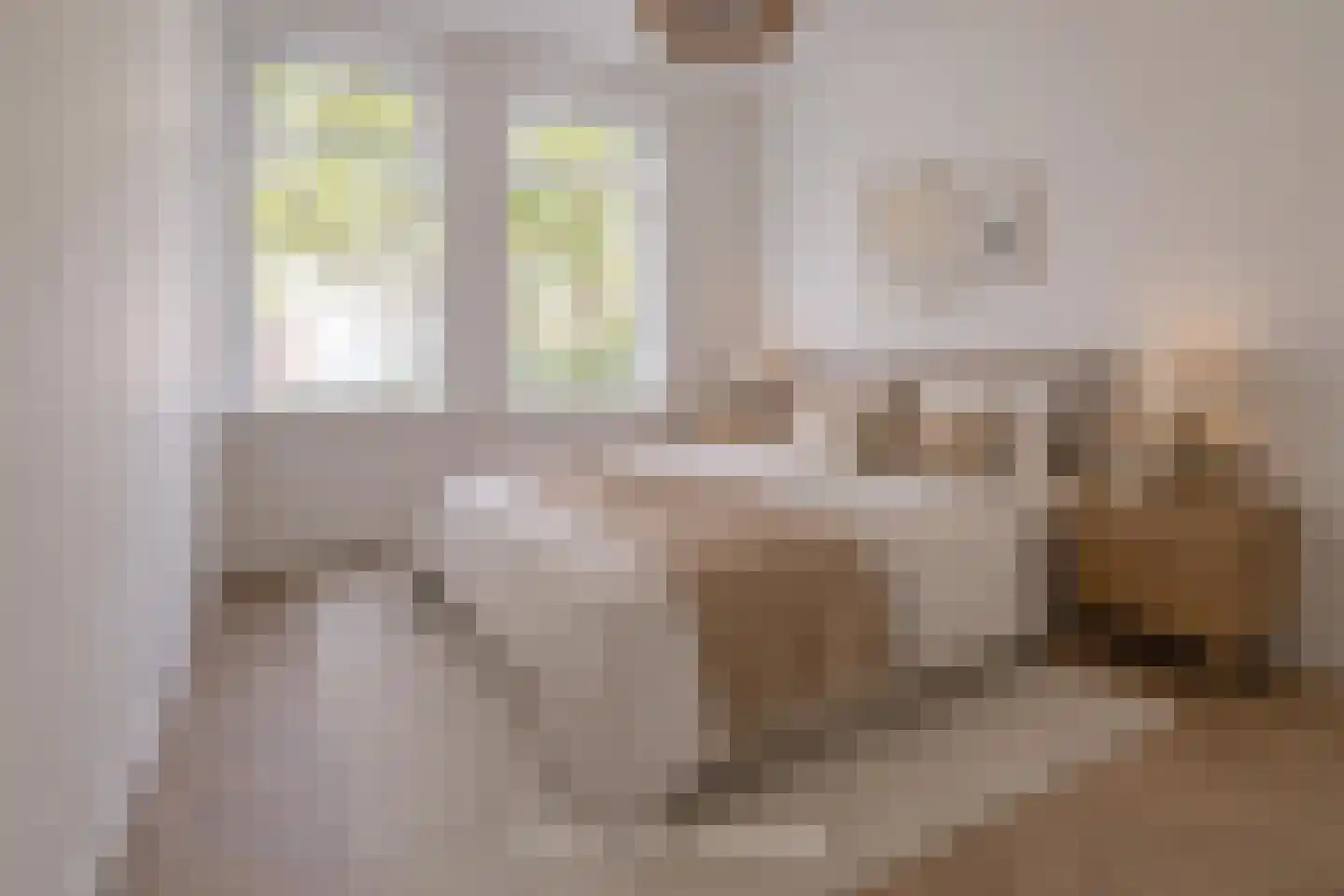 Amalia van Solmsstraat 15 Groningen thumbnail 28