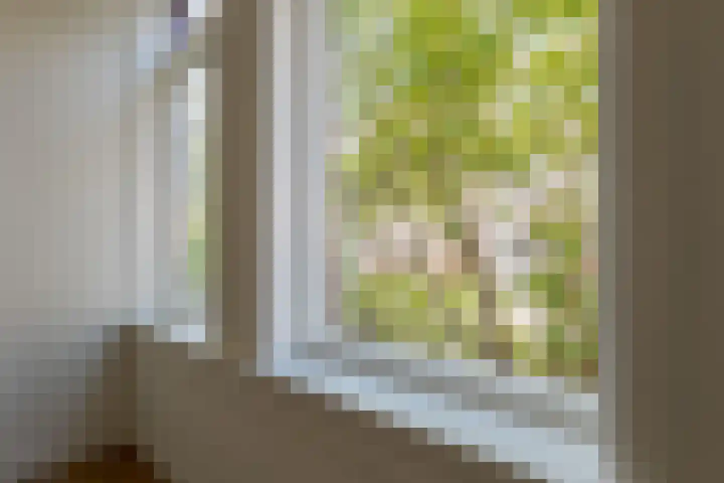 Amalia van Solmsstraat 15 Groningen thumbnail 30