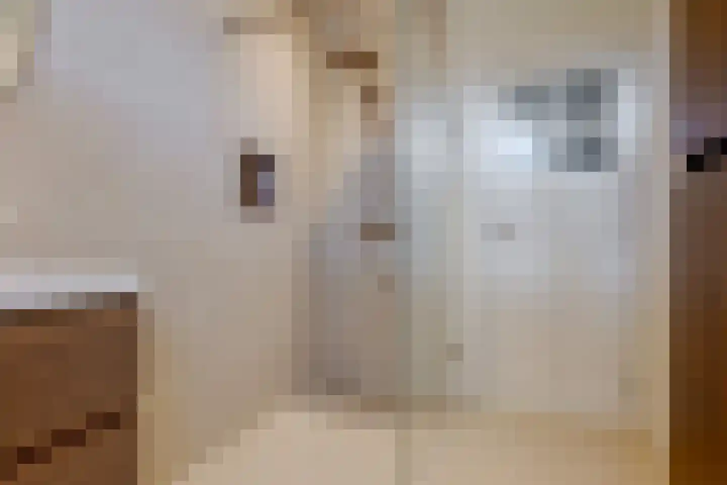 Amalia van Solmsstraat 15 Groningen thumbnail 39