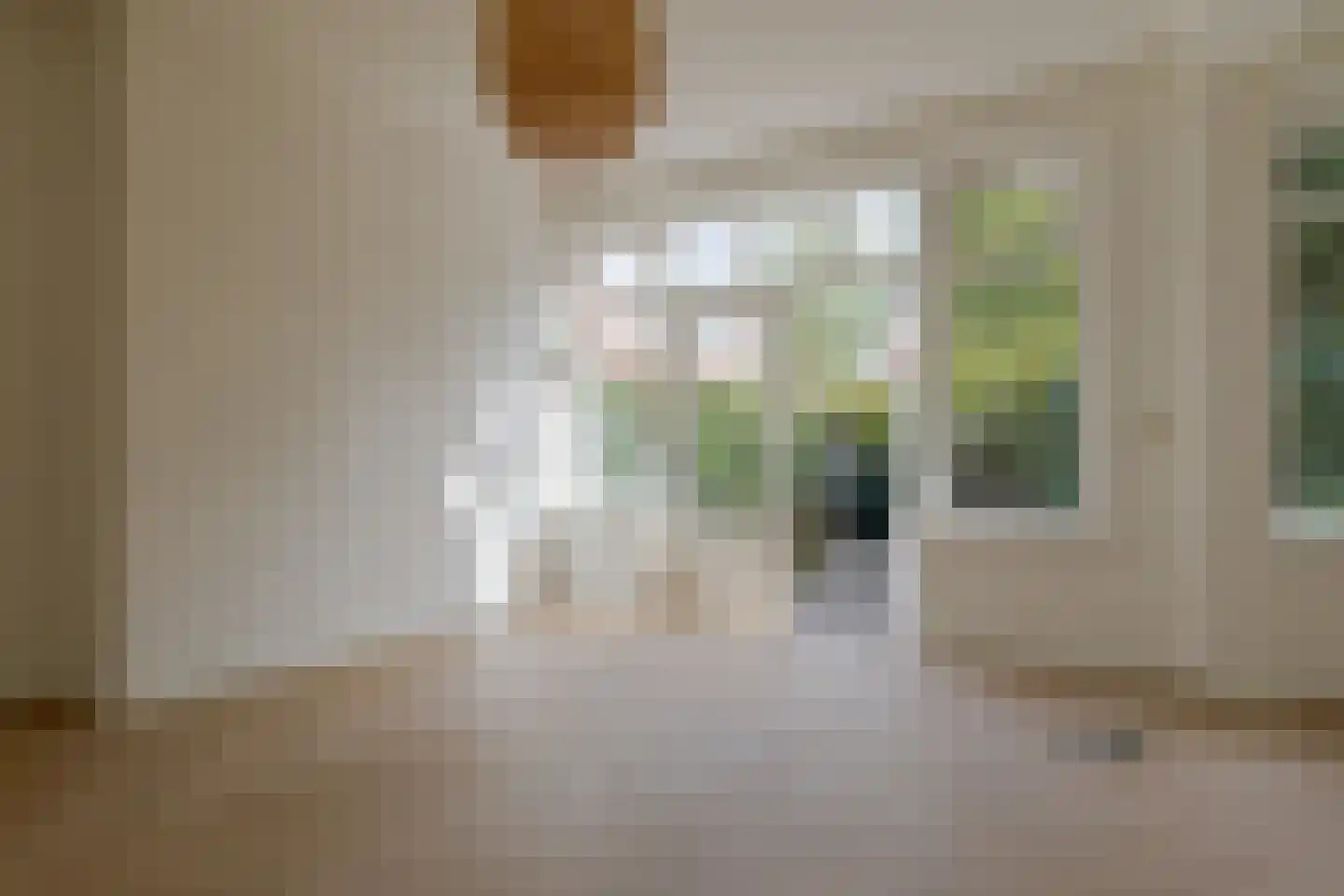 Amalia van Solmsstraat 15 Groningen thumbnail 41