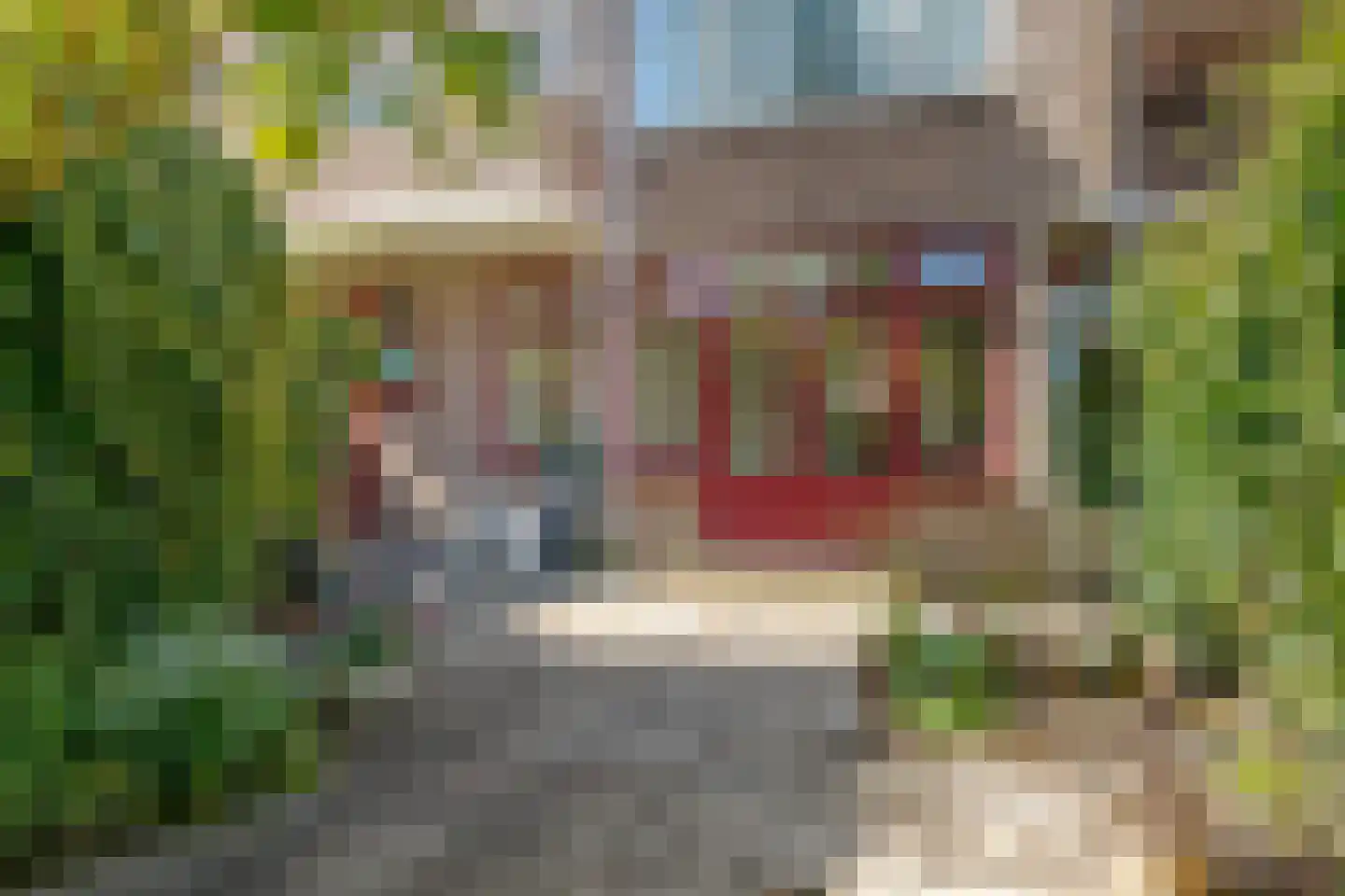 Amalia van Solmsstraat 15 Groningen thumbnail 42