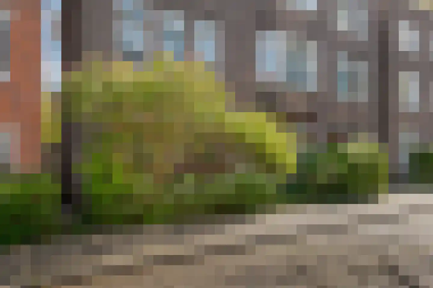 Amalia van Solmsstraat 15 Groningen thumbnail 49
