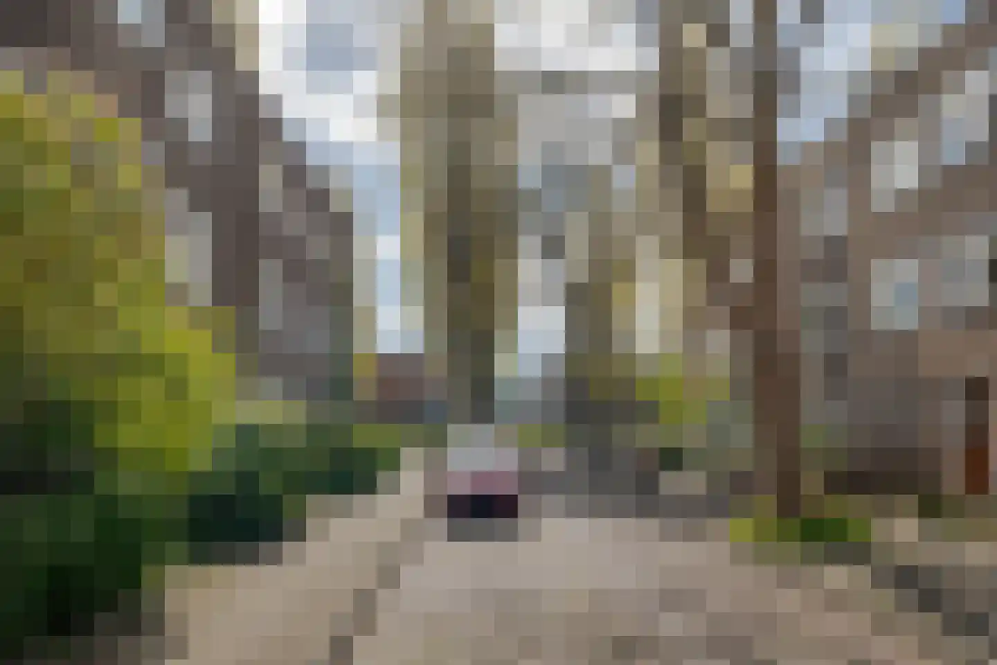 Amalia van Solmsstraat 15 Groningen thumbnail 6
