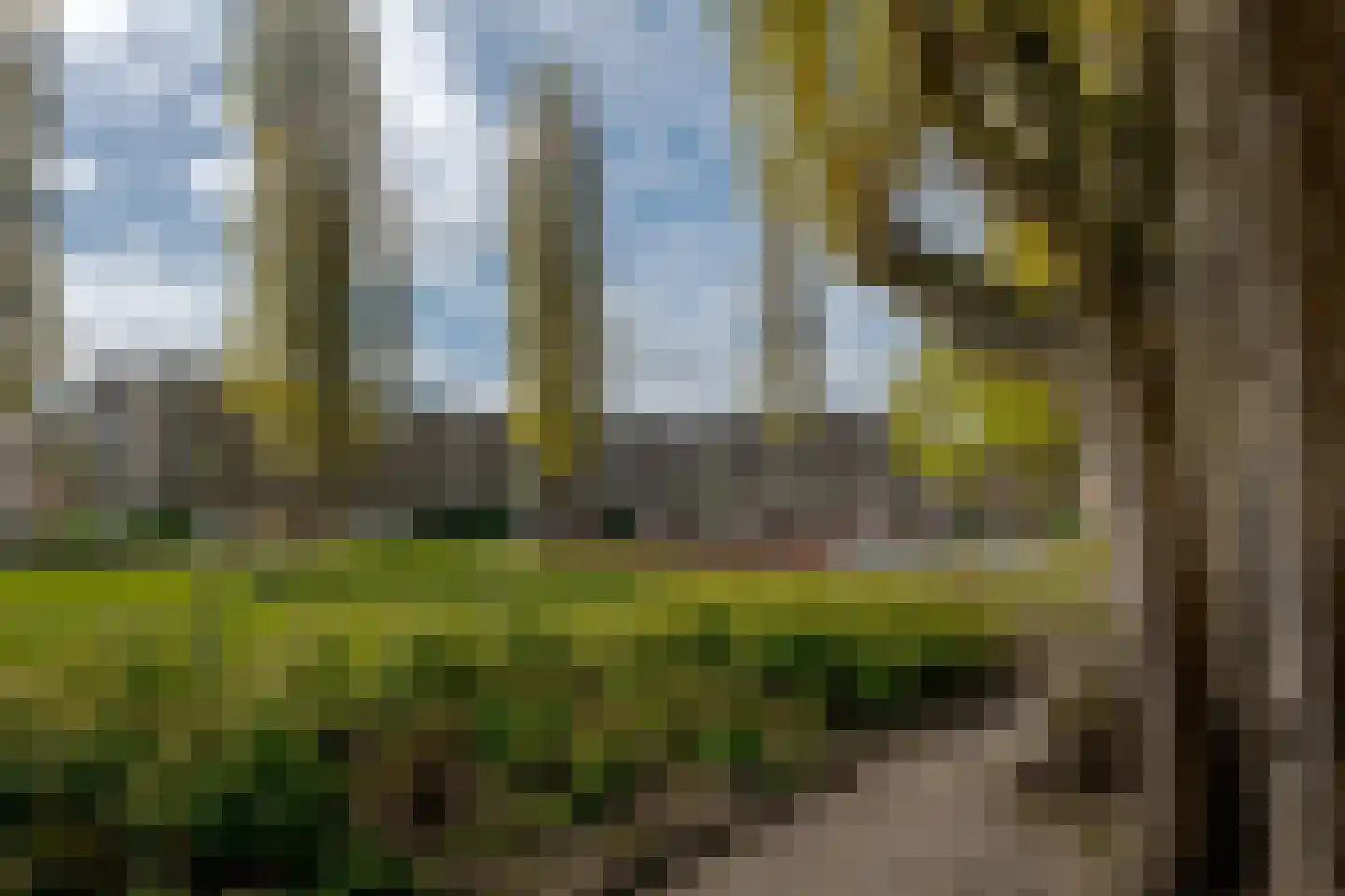 Amalia van Solmsstraat 15 Groningen thumbnail 8