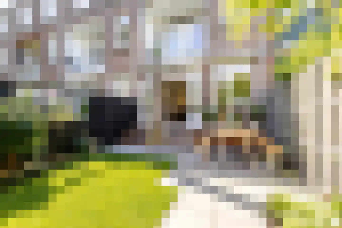 Amalia van Solmsstraat 15 Schiedam thumbnail 27