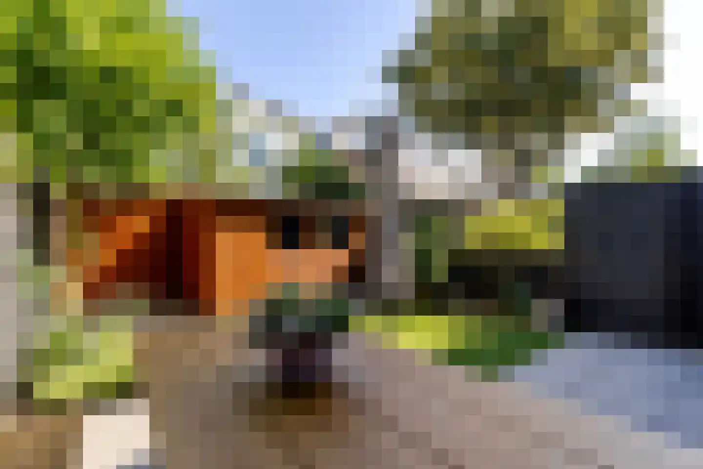 Amalia van Solmsstraat 15 Schiedam thumbnail 32