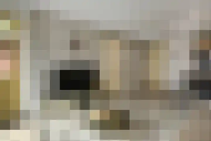 Amalia van Solmsstraat 16 Elst thumbnail 13