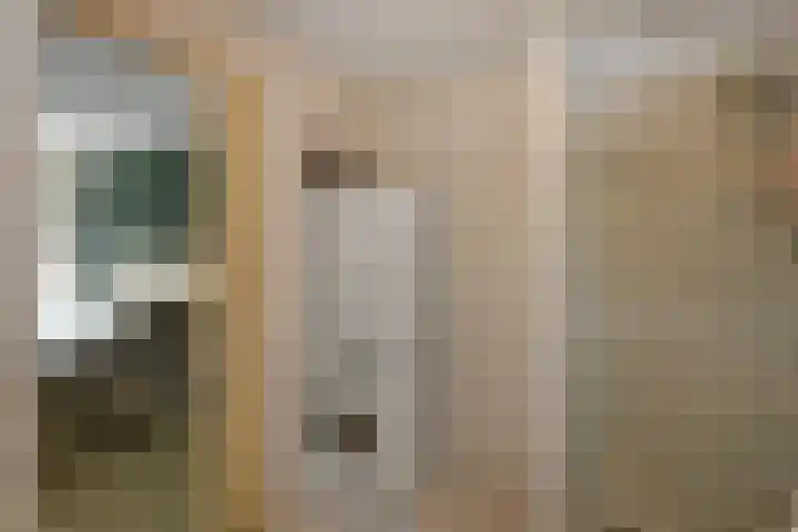 Amalia van Solmsstraat 16 Elst thumbnail 27