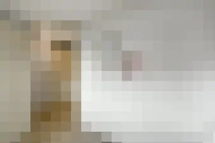 Amalia van Solmsstraat 16 Elst thumbnail 32