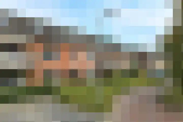 Amalia van Solmsstraat 16 Elst thumbnail 5