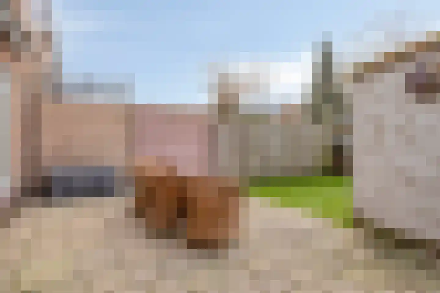 Amalia van Solmsstraat 17 Drunen thumbnail 24