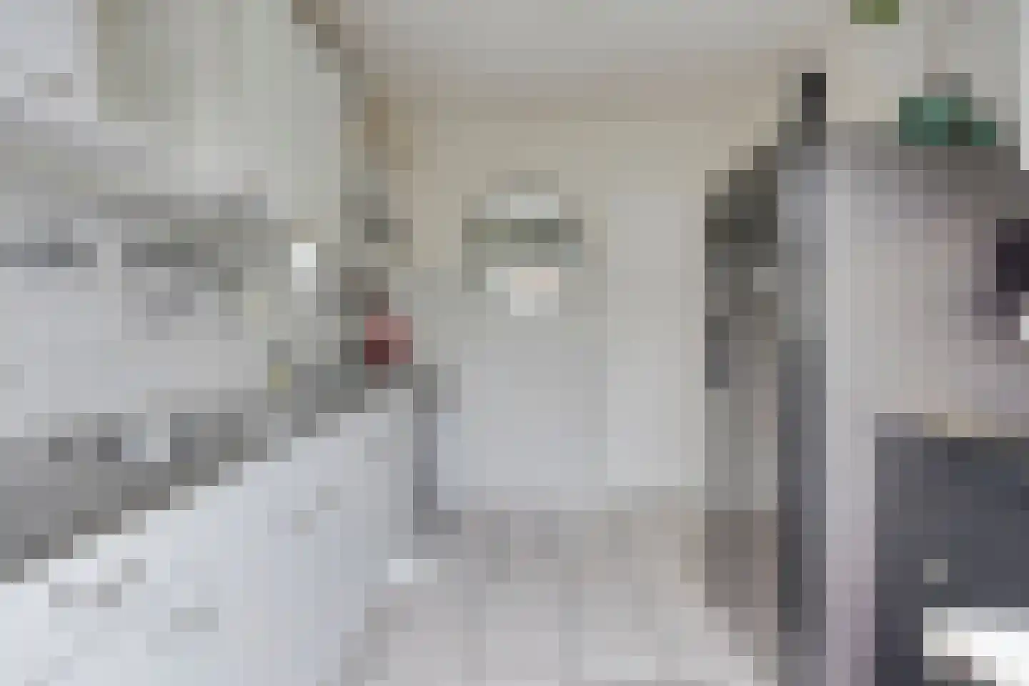 Amalia van Solmsstraat 17 Drunen thumbnail 7
