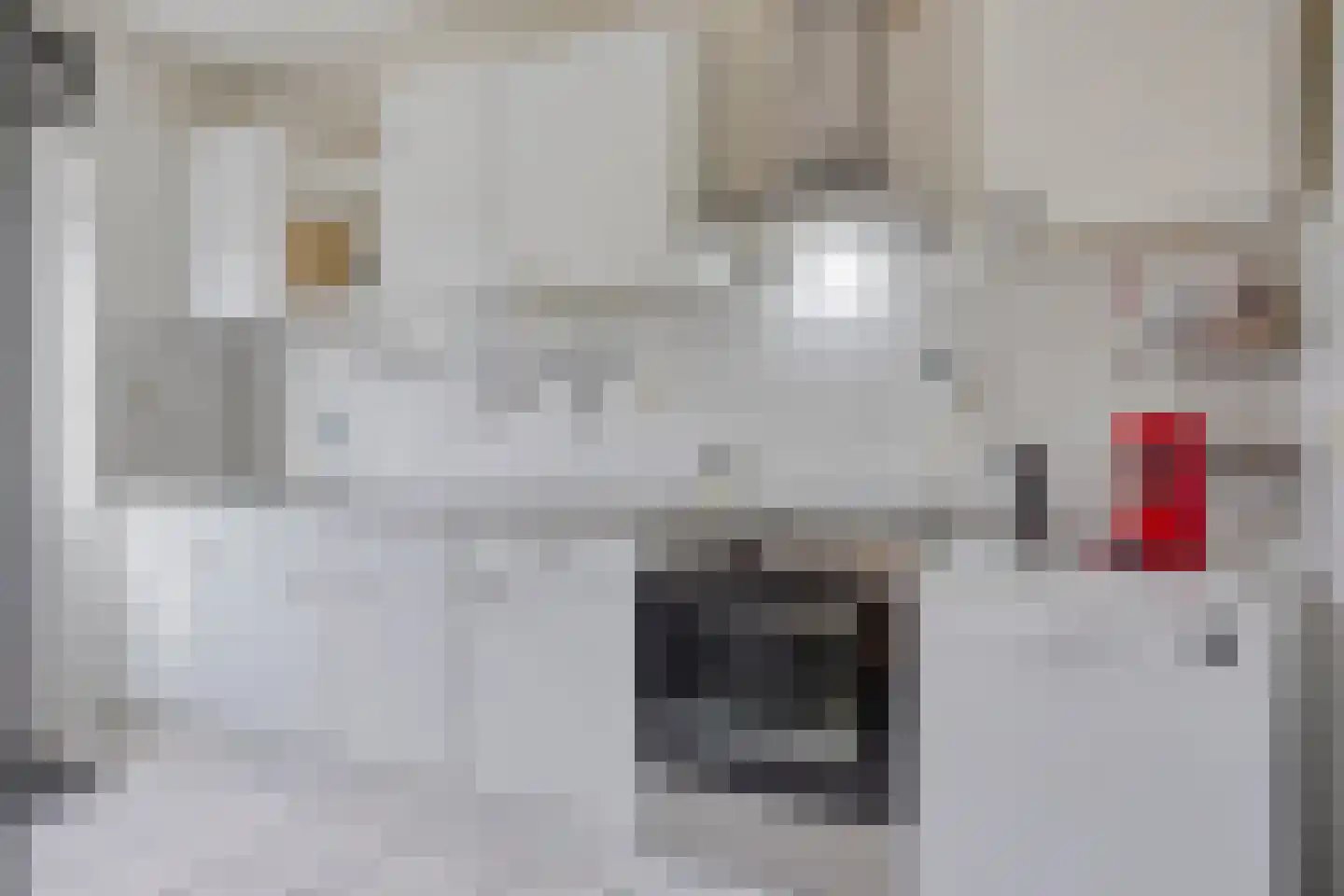 Amalia van Solmsstraat 17 Drunen thumbnail 8