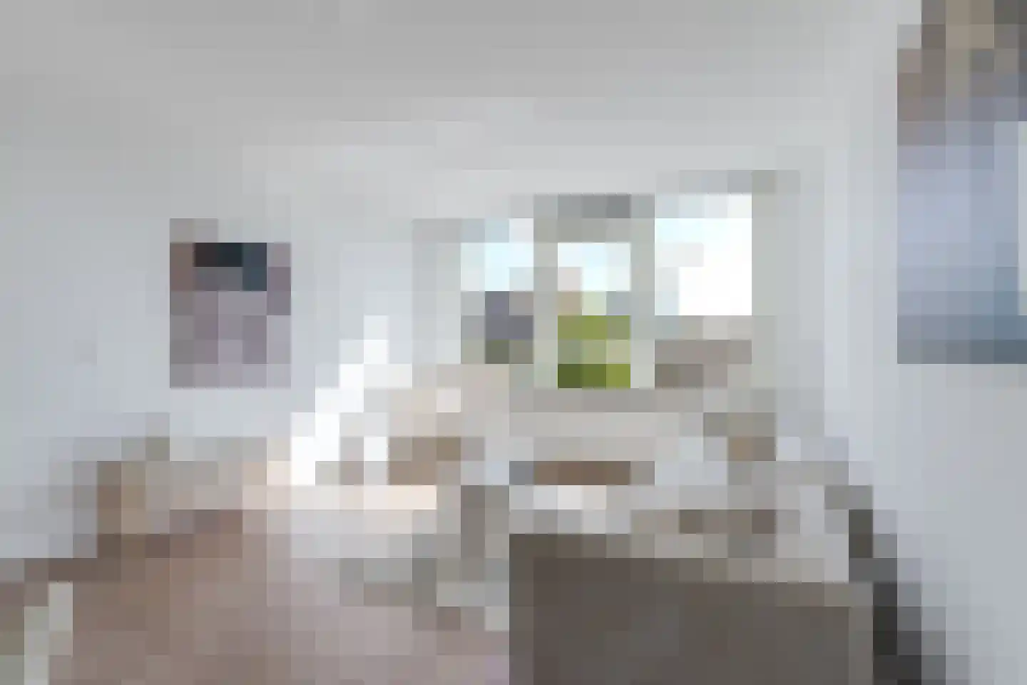 Amalia van Solmsstraat 197 Alkmaar thumbnail 7