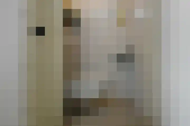 Amalia van Solmsstraat 20 Elst thumbnail 10
