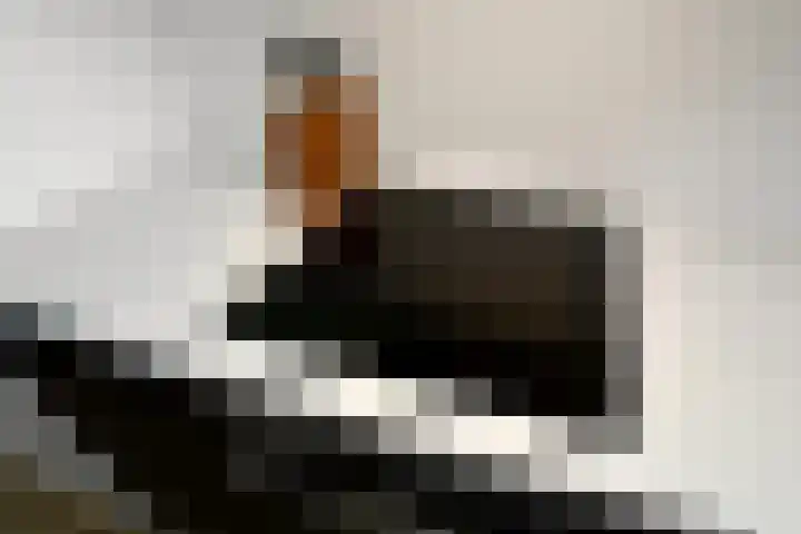 Amalia van Solmsstraat 20 Elst thumbnail 23