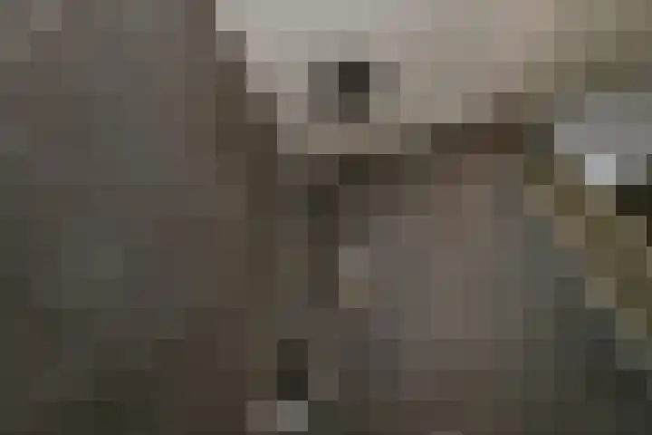 Amalia van Solmsstraat 20 Elst thumbnail 36