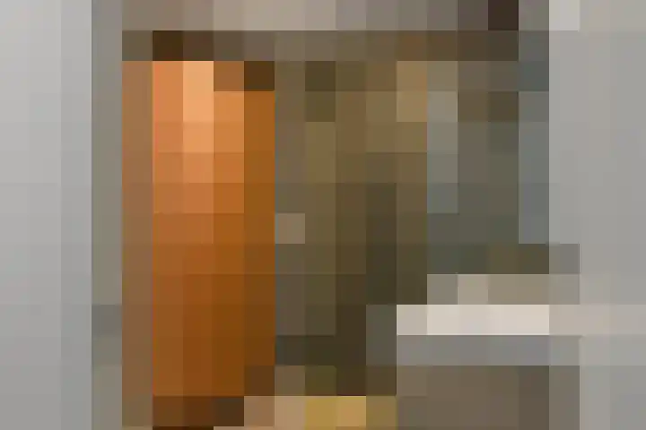 Amalia van Solmsstraat 20 Elst thumbnail 37