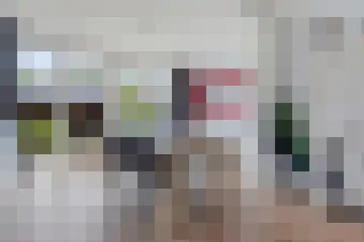 Amalia van Solmsstraat 22 Waddinxveen thumbnail 13
