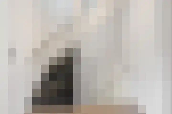 Amalia van Solmsstraat 22 Waddinxveen thumbnail 16