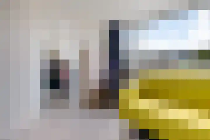 Amalia van Solmsstraat 22 Waddinxveen thumbnail 21