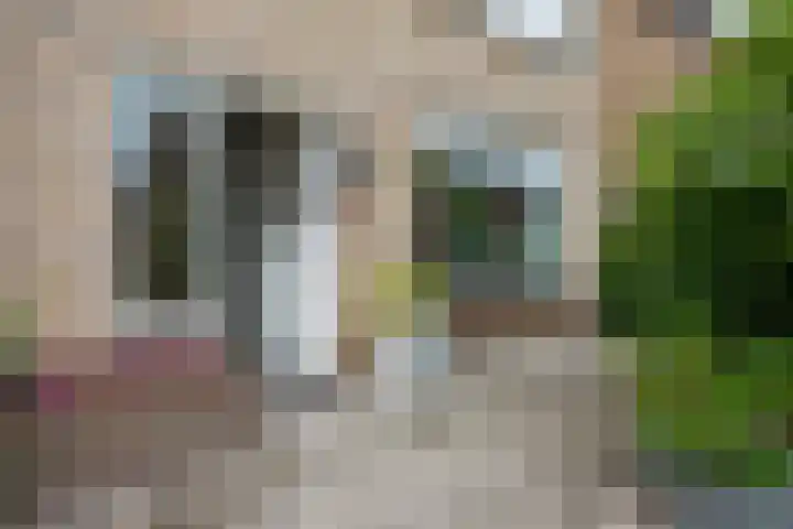 Amalia van Solmsstraat 22 Waddinxveen thumbnail 6