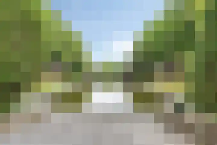 Amalia van Solmsstraat 26 a Groningen thumbnail 30