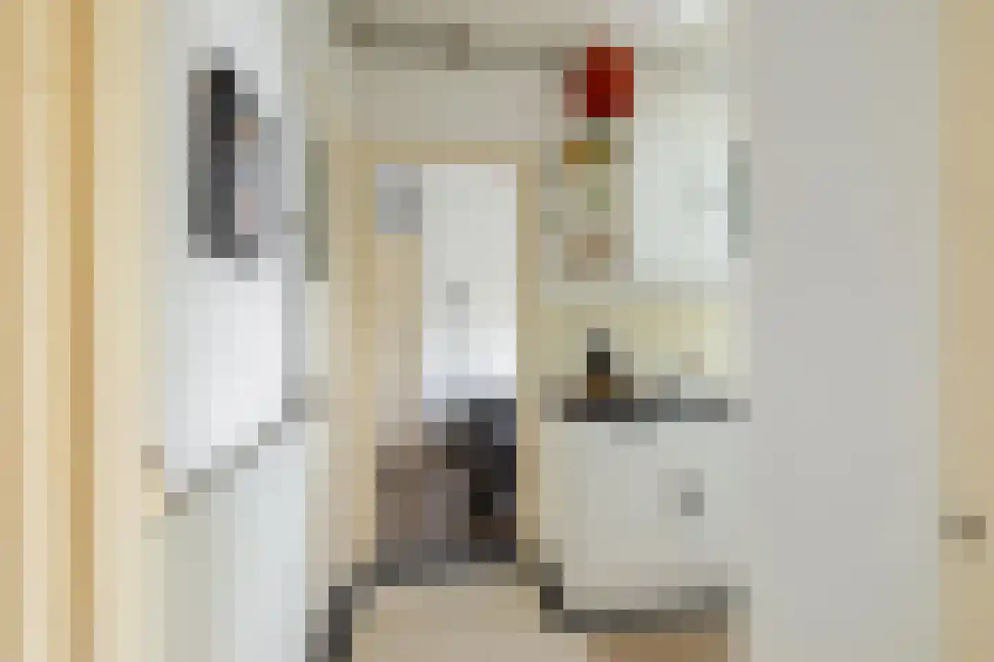 Amalia van Solmsstraat 26 b Groningen thumbnail 20