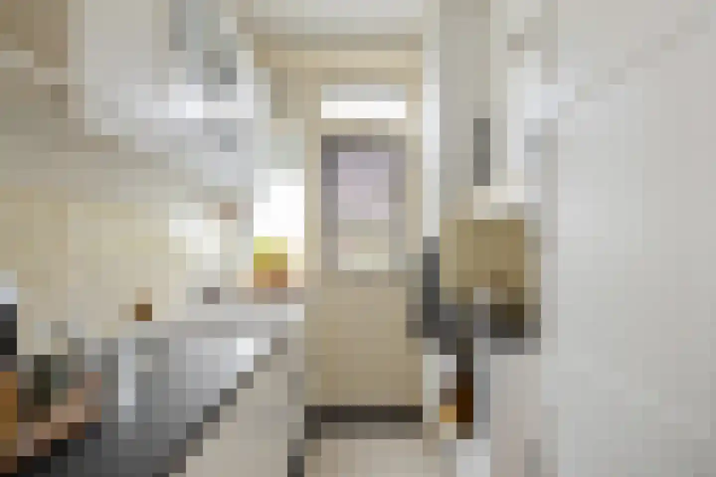 Amalia van Solmsstraat 26 b Groningen thumbnail 21
