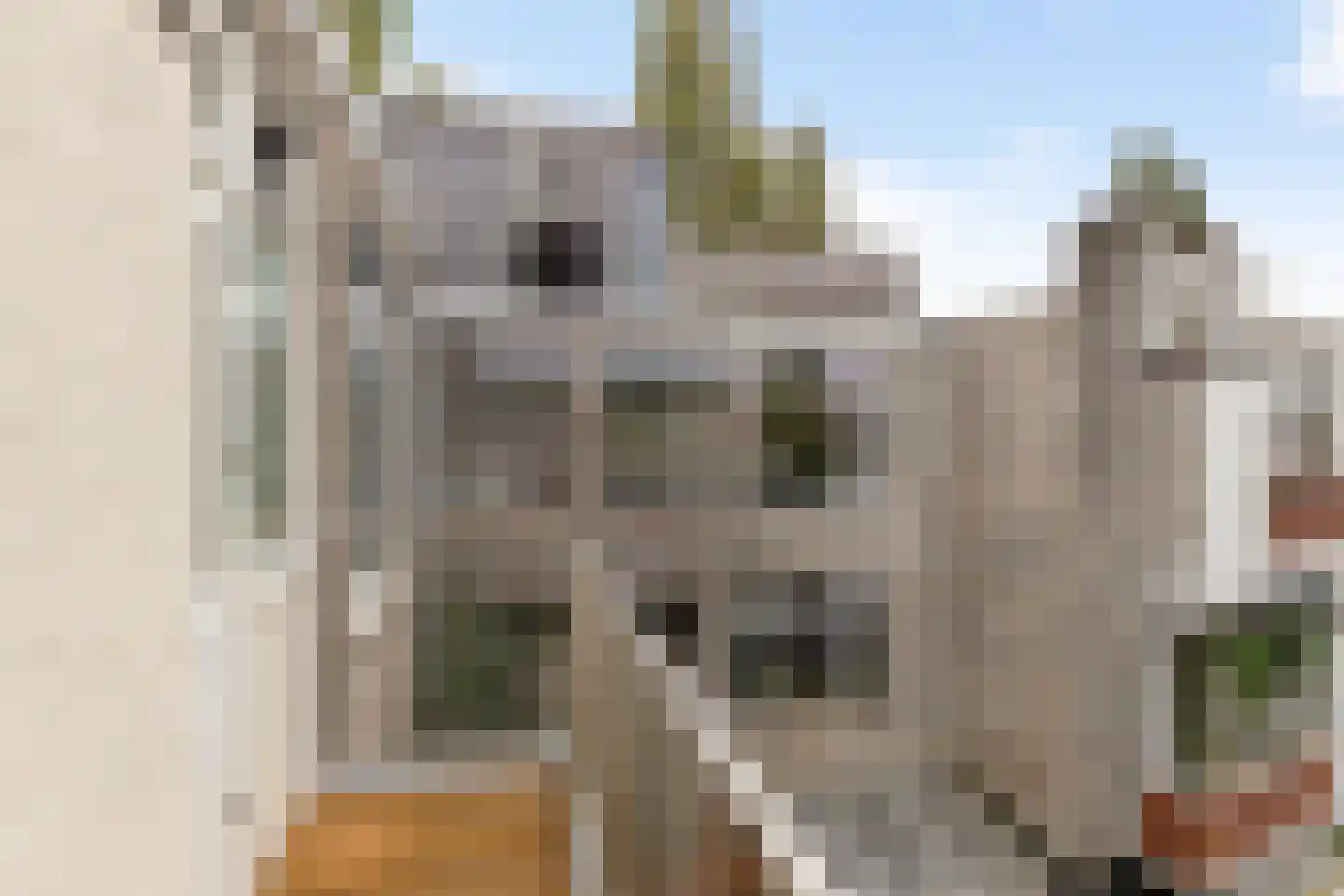 Amalia van Solmsstraat 26 b Groningen thumbnail 24