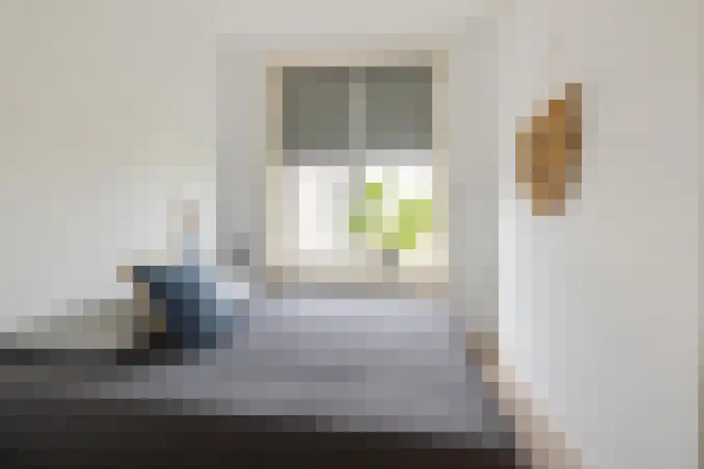 Amalia van Solmsstraat 26 b Groningen thumbnail 27