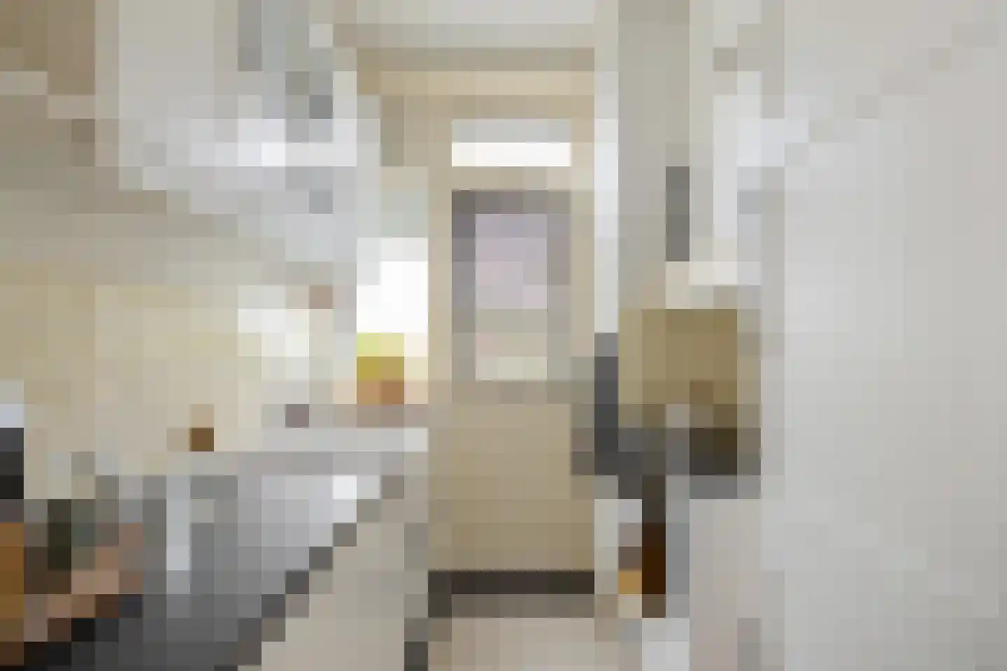 Amalia van Solmsstraat 26 b Groningen thumbnail 4